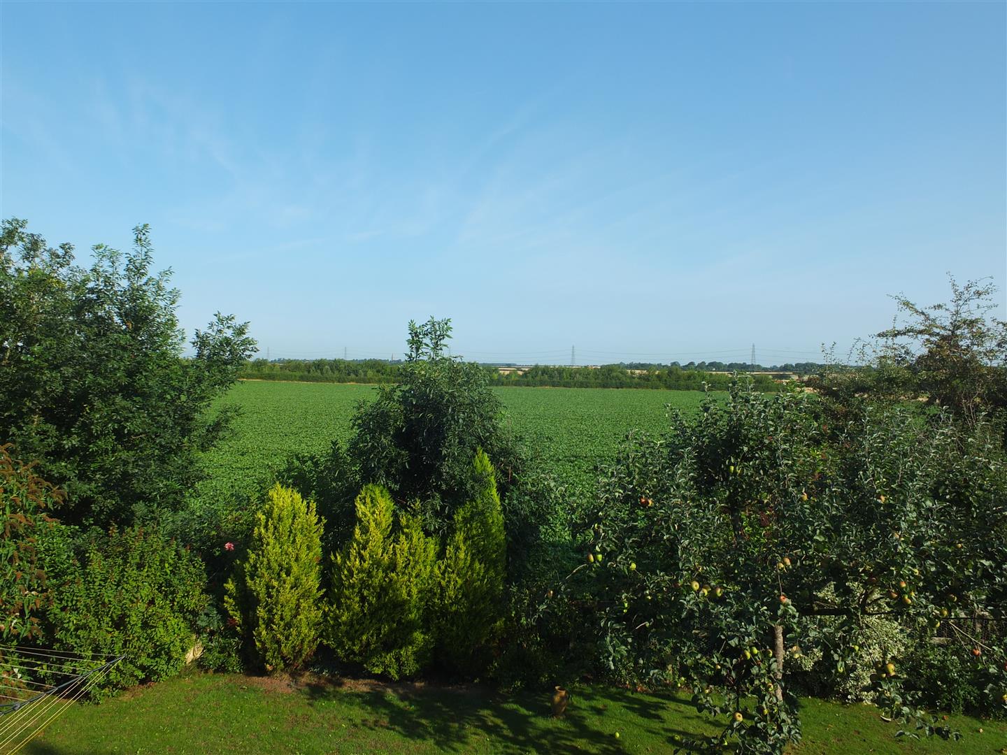 VIEW FROM BEDROOM: